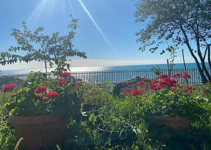 Sunset Spille * Rrogozhine